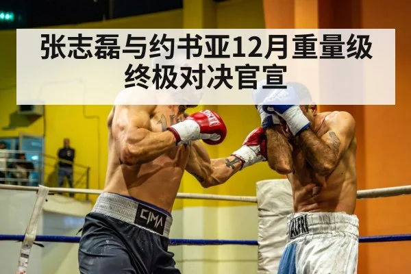 张志磊与约书亚12月重量级终极对决官宣